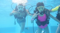 IMG_0113.jpg